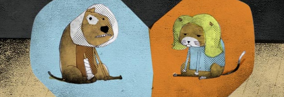 America’s Pet Frenzy: Finding a Balance