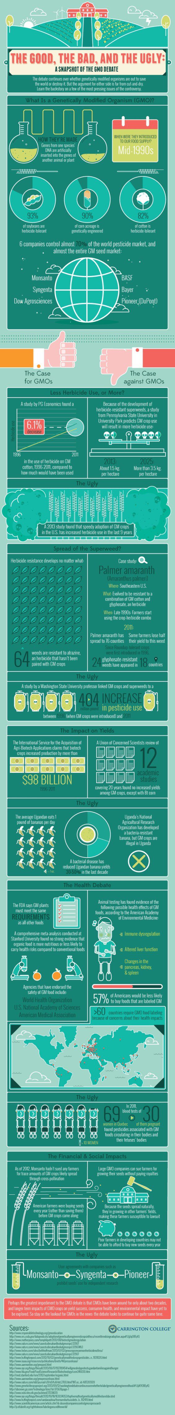 GMO Infographic