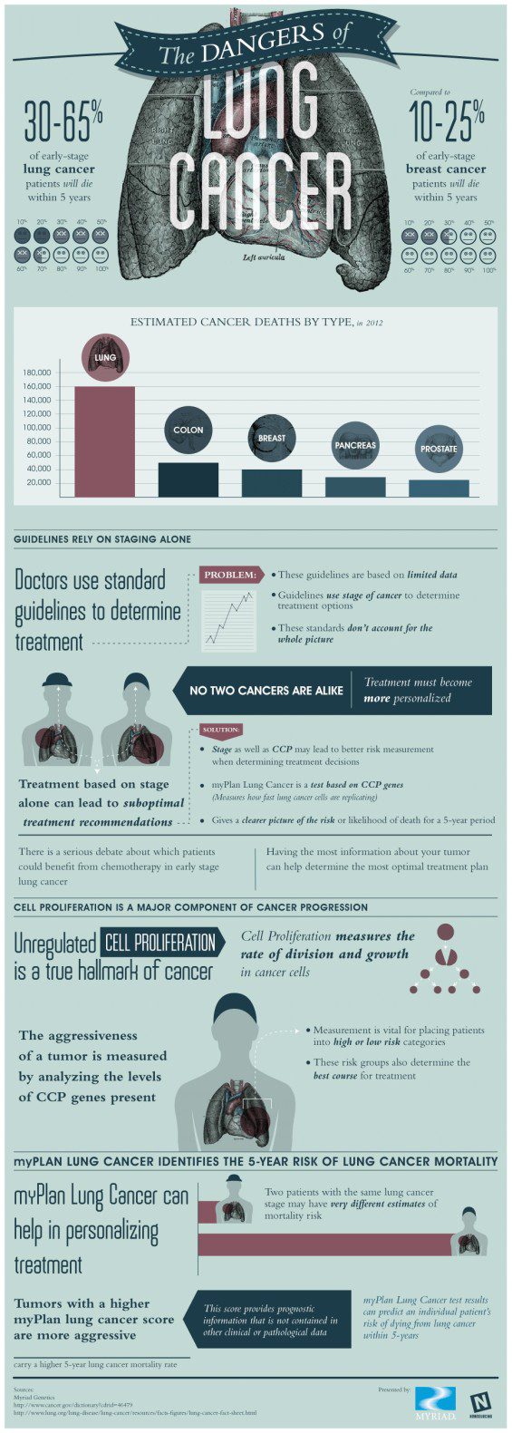 Lung Cancer Infographic