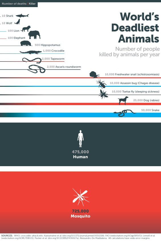 Deadliest Animals on Earth Infographic